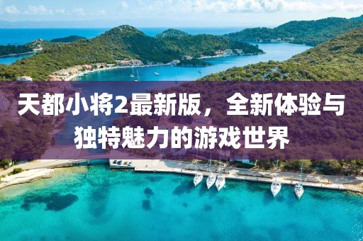 天都小将2最新版，全新体验与独特魅力的游戏世界