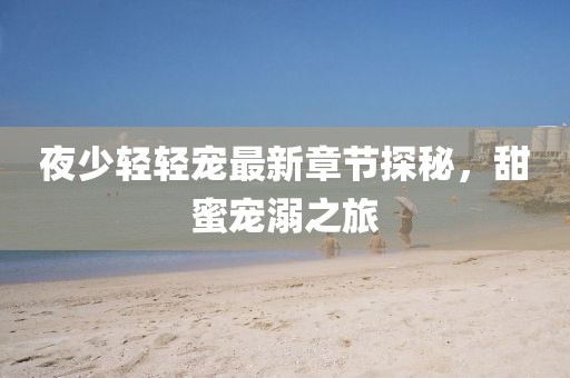 夜少轻轻宠最新章节探秘，甜蜜宠溺之旅