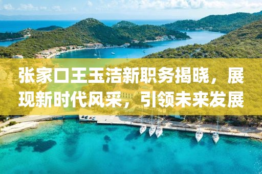 张家口王玉洁新职务揭晓，展现新时代风采，引领未来发展