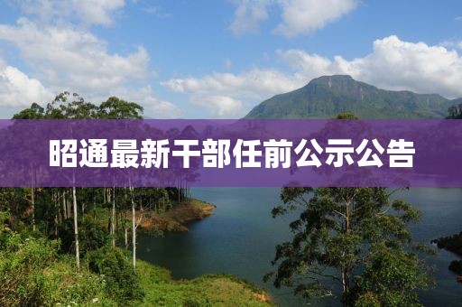 昭通最新干部任前公示公告