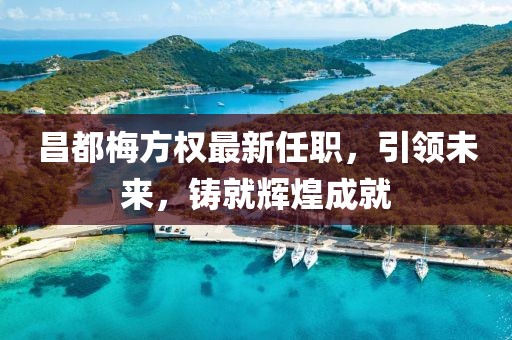 昌都梅方权最新任职，引领未来，铸就辉煌成就