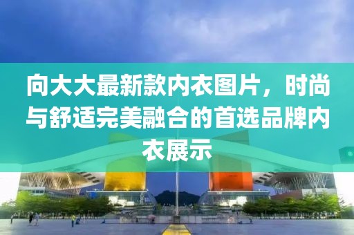 向大大最新款内衣图片，时尚与舒适完美融合的首选品牌内衣展示