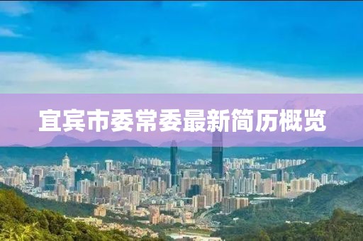 宜宾市委常委最新简历概览