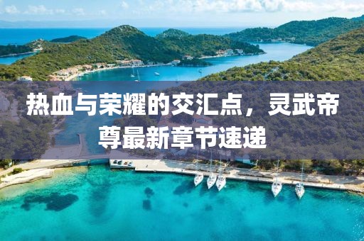 热血与荣耀的交汇点，灵武帝尊最新章节速递