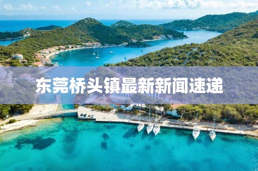 东莞桥头镇最新新闻速递