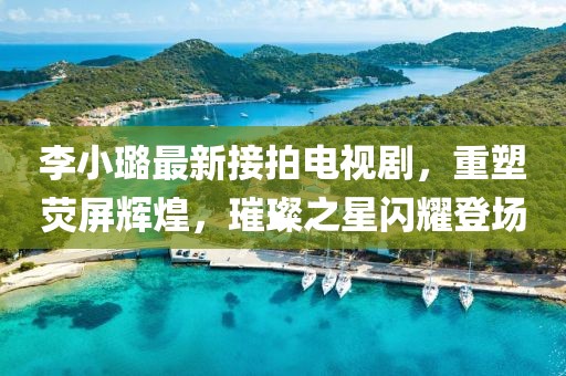 李小璐最新接拍电视剧，重塑荧屏辉煌，璀璨之星闪耀登场