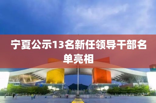 宁夏公示13名新任领导干部名单亮相