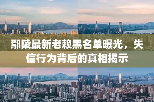 鄢陵最新老赖黑名单曝光，失信行为背后的真相揭示