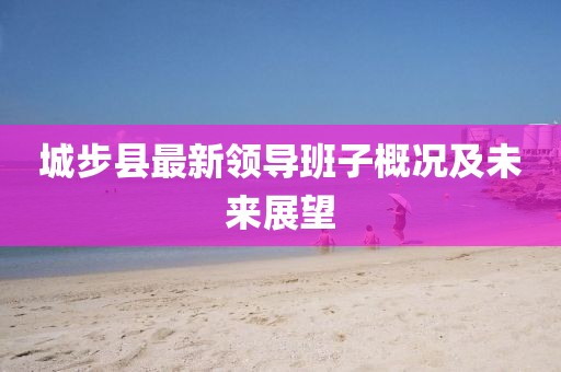 城步县最新领导班子概况及未来展望