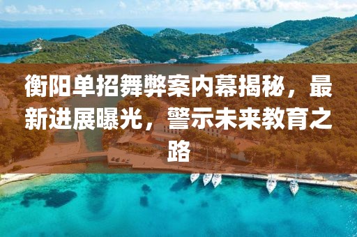 衡阳单招舞弊案内幕揭秘，最新进展曝光，警示未来教育之路