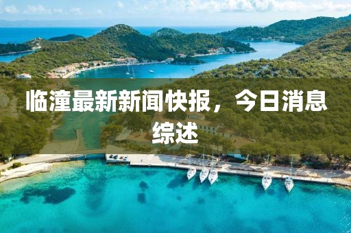 临潼最新新闻快报，今日消息综述