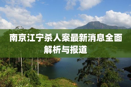 南京江宁杀人案最新消息全面解析与报道