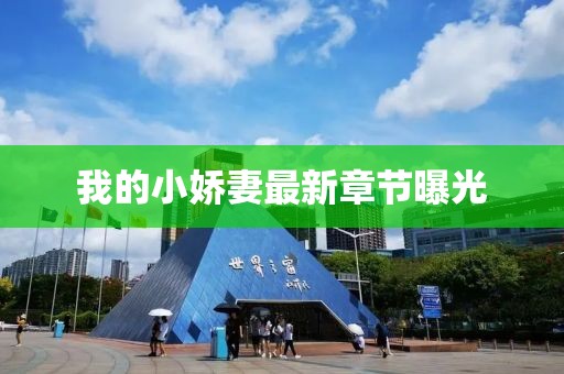 我的小娇妻最新章节曝光