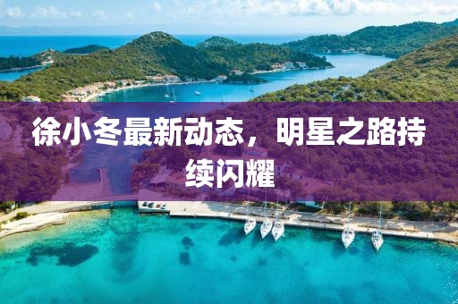 徐小冬最新动态，明星之路持续闪耀