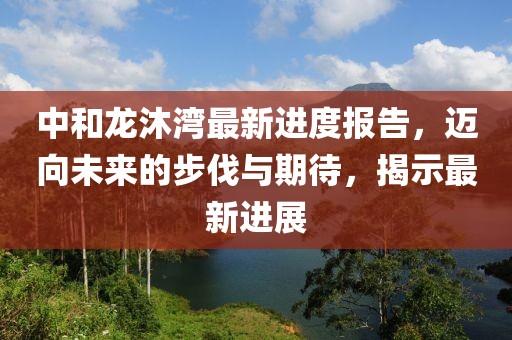 中和龙沐湾最新进度报告，迈向未来的步伐与期待，揭示最新进展