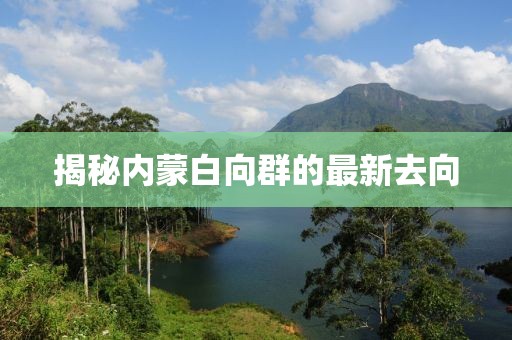 揭秘内蒙白向群的最新去向