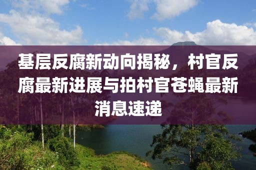 基层反腐新动向揭秘，村官反腐最新进展与拍村官苍蝇最新消息速递