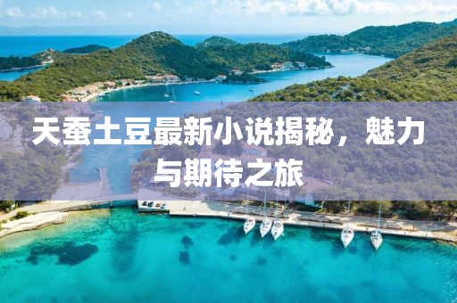 天蚕土豆最新小说揭秘，魅力与期待之旅