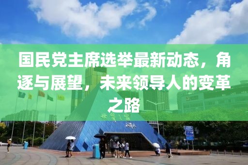 国民党主席选举最新动态，角逐与展望，未来领导人的变革之路