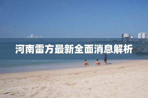 河南雷方最新全面消息解析