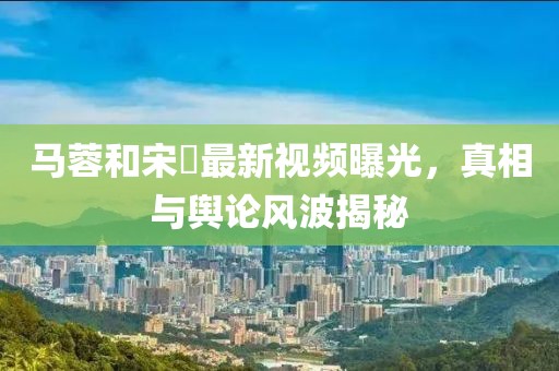 马蓉和宋喆最新视频曝光，真相与舆论风波揭秘