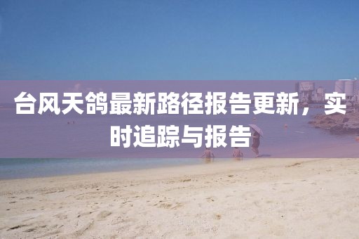 台风天鸽最新路径报告更新，实时追踪与报告
