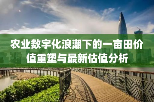 农业数字化浪潮下的一亩田价值重塑与最新估值分析