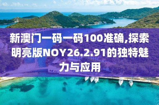 新澳门一码一码100准确,探索明亮版NOY26.2.91的独特魅力与应用