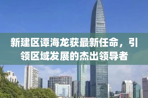 新建区谭海龙获最新任命，引领区域发展的杰出领导者