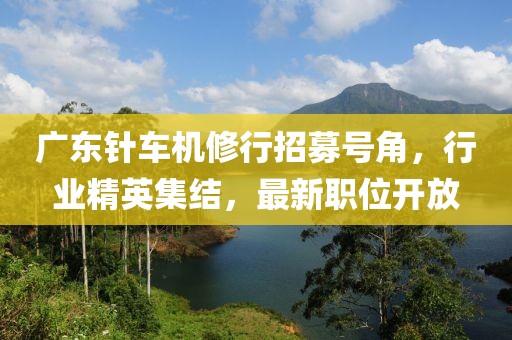 广东针车机修行招募号角，行业精英集结，最新职位开放