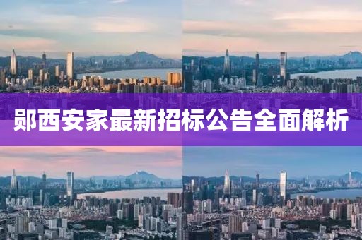 2024年12月 第219页