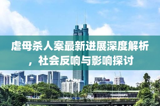 虐母杀人案最新进展深度解析，社会反响与影响探讨
