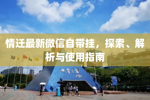 情迁最新微信自带挂，探索、解析与使用指南