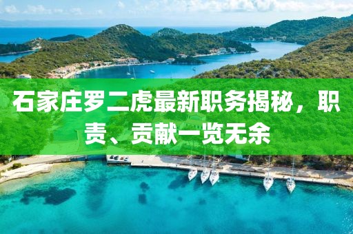 石家庄罗二虎最新职务揭秘，职责、贡献一览无余