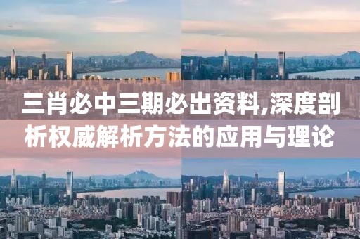三肖必中三期必出资料,深度剖析权威解析方法的应用与理论