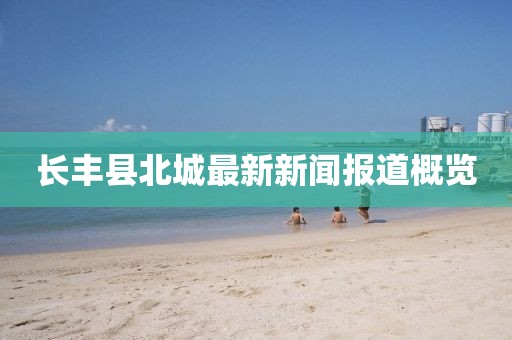 长丰县北城最新新闻报道概览