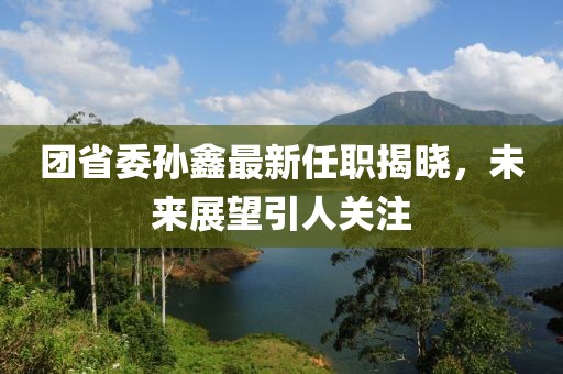 团省委孙鑫最新任职揭晓，未来展望引人关注
