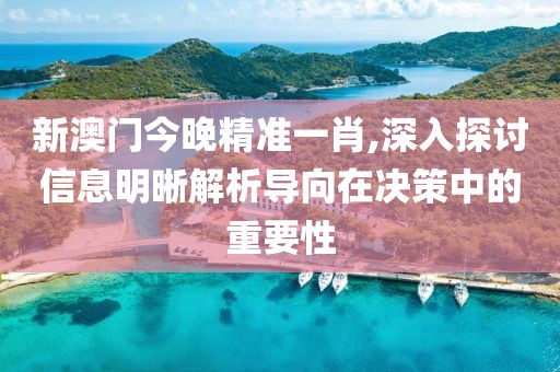 新澳门今晚精准一肖,深入探讨信息明晰解析导向在决策中的重要性