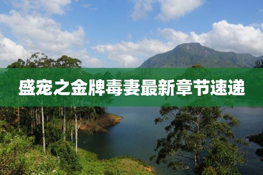 盛宠之金牌毒妻最新章节速递