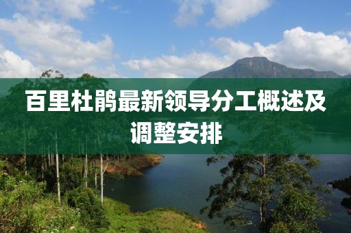 百里杜鹃最新领导分工概述及调整安排
