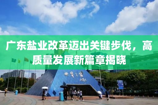 广东盐业改革迈出关键步伐，高质量发展新篇章揭晓