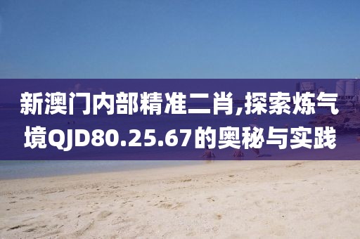 新澳门内部精准二肖,探索炼气境QJD80.25.67的奥秘与实践