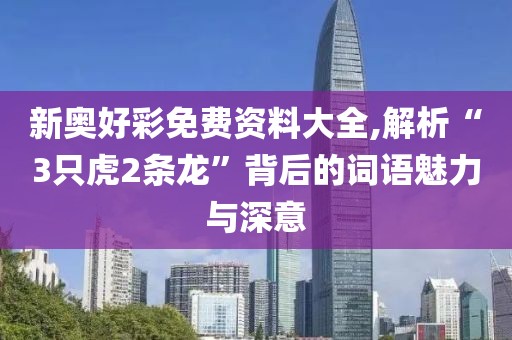 新奥好彩免费资料大全,解析“3只虎2条龙”背后的词语魅力与深意
