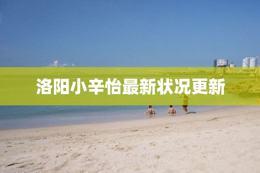 洛阳小辛怡最新状况更新