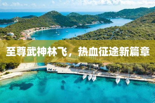 飞鸟翔 第19页