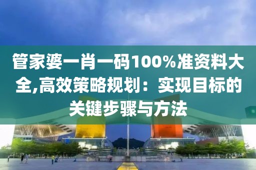 管家婆一肖一码100%准资料大全,高效策略规划：实现目标的关键步骤与方法