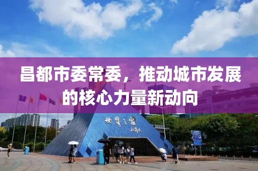 昌都市委常委，推动城市发展的核心力量新动向
