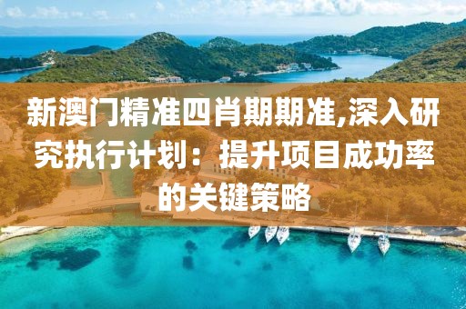 新澳门精准四肖期期准,深入研究执行计划：提升项目成功率的关键策略