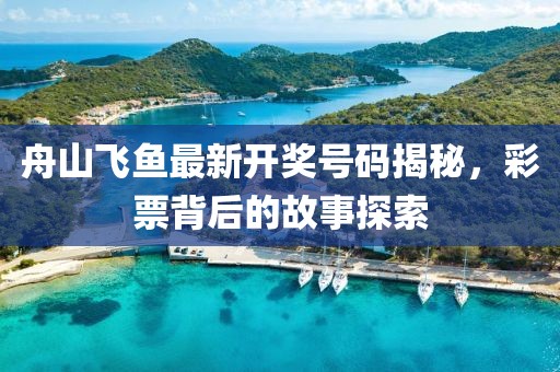 舟山飞鱼最新开奖号码揭秘，彩票背后的故事探索