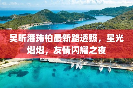 吴昕潘玮柏最新路透照，星光熠熠，友情闪耀之夜